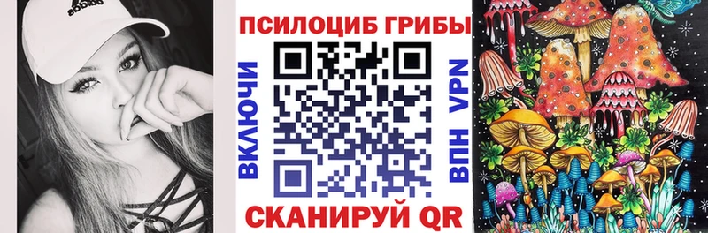 Купить  Фурманов  Псилоцибиновые грибы мухоморы 
